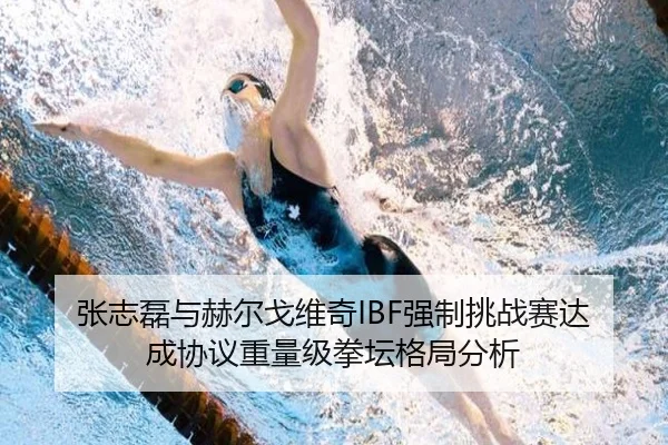 zhang-zhi-lei-yu-he-er-ge-wei-qi-qiang-zhi-tiao-zhan-sai-da-cheng-xie-yi-zhong-liang-ji-quan-tan-ge-ju-fen-xi-3-602.jpg
