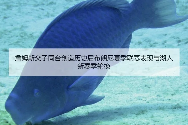 詹姆斯父子同台创造历史后布朗尼夏季联赛表现与湖人新赛季轮换